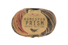 Load image into Gallery viewer, King Cole Homespun Prism DK 50g
