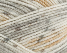 Load image into Gallery viewer, Stylecraft Bambino Prints DK 100g
