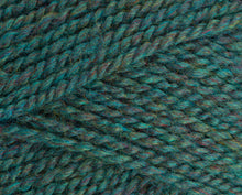 Load image into Gallery viewer, Stylecraft Highland Heathers DK 100g
