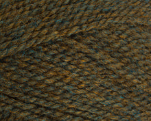 Load image into Gallery viewer, Stylecraft Highland Heathers DK 100g
