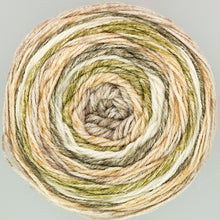 Load image into Gallery viewer, King Cole Harvest DK 150g
