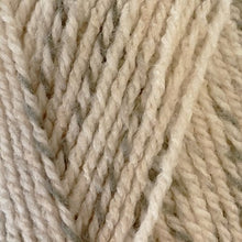Load image into Gallery viewer, Stylecraft Colour Twist DK 100g
