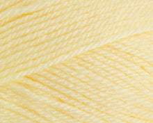 Load image into Gallery viewer, Stylecraft Special DK 100g

