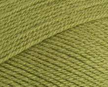 Load image into Gallery viewer, Stylecraft Special DK 100g
