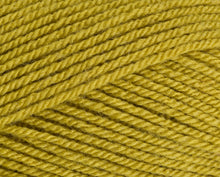 Load image into Gallery viewer, Stylecraft Special DK 100g
