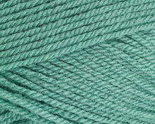 Load image into Gallery viewer, Stylecraft Special DK 100g
