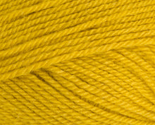 Load image into Gallery viewer, Stylecraft Special DK 100g
