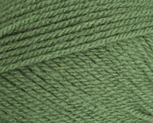 Load image into Gallery viewer, Stylecraft Special DK 100g
