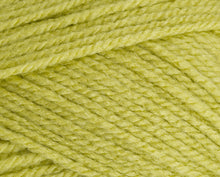 Load image into Gallery viewer, Stylecraft Special Aran 100g
