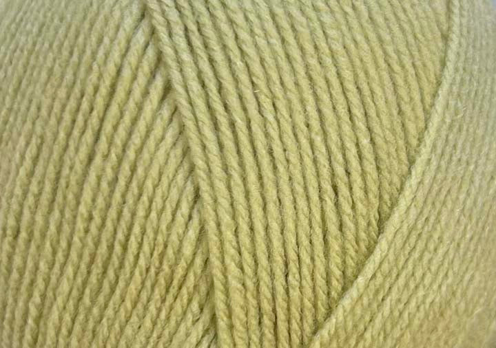 Stylecraft Special DK 100g
