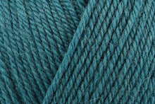 Load image into Gallery viewer, Rowan Pure Wool Superwash Worsted
