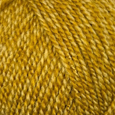Stylecraft Special DK 100g
